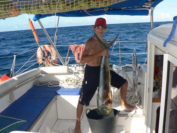 66- Romain et le mahi-mahi 